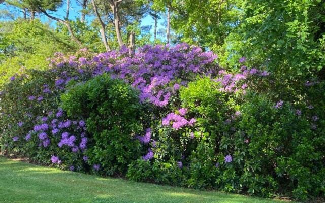 L’Oasis au milieu de la Forêt