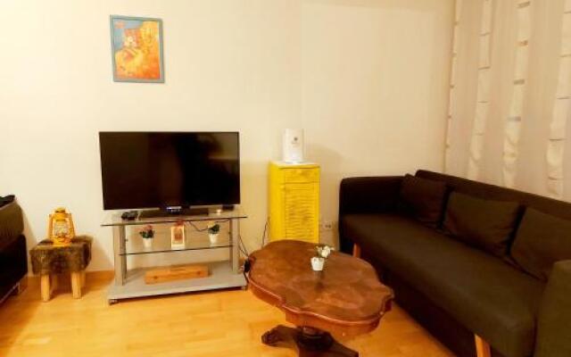 Ruhiges 2 Zimmer Apartment in Bern Zentrum