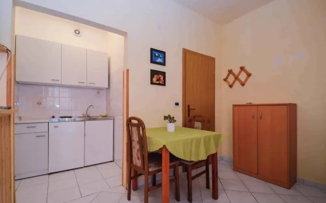 Apartments Pjescana Uvala/istrien 11166