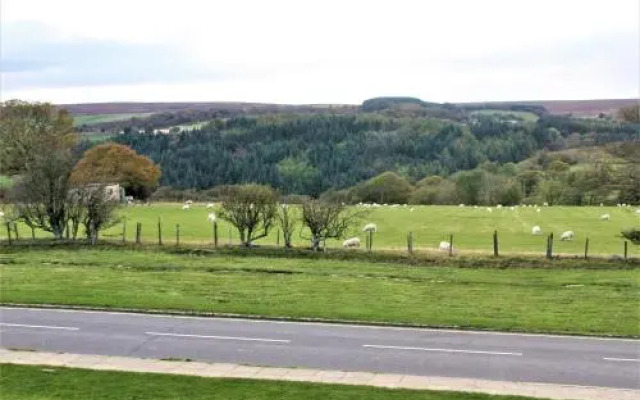 Fairhaven Country Guest House