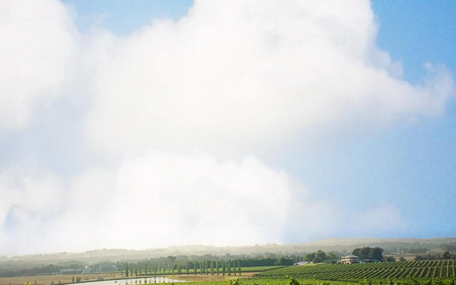 Estate Tuscany