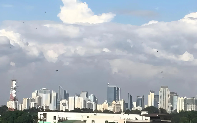 Dragonlink Suites