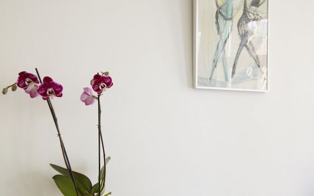 Bright & Great Apartment In Jordaan Area