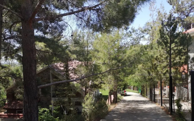 Villa Enriette - Panoramic Mountain Retreat in Pano Platres, Cyprus