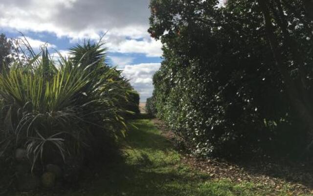 Hot Water Beach Bure Wera