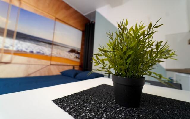 Capsule Studio Beach Valenciennes