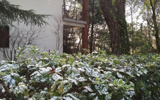 Villa sull'Etna immersa nel bosco