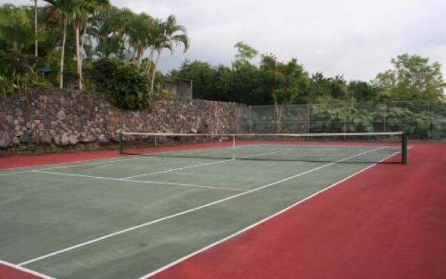 Hawaiian Oasis Bed & Breakfast