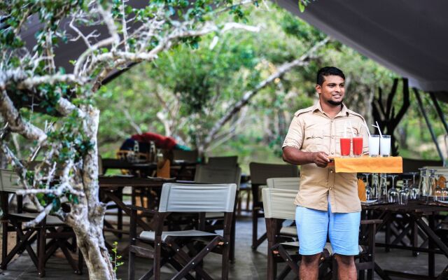 Yala Safari Camping