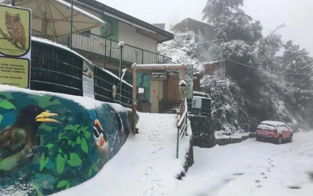 Seegreen Lodges