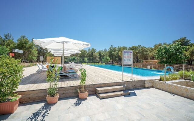 Spacious Park View Room With Breakfast Included