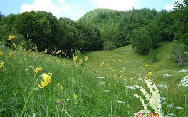 Family Hotel Smolena