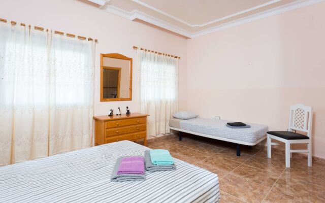 Live Arico Listada 3