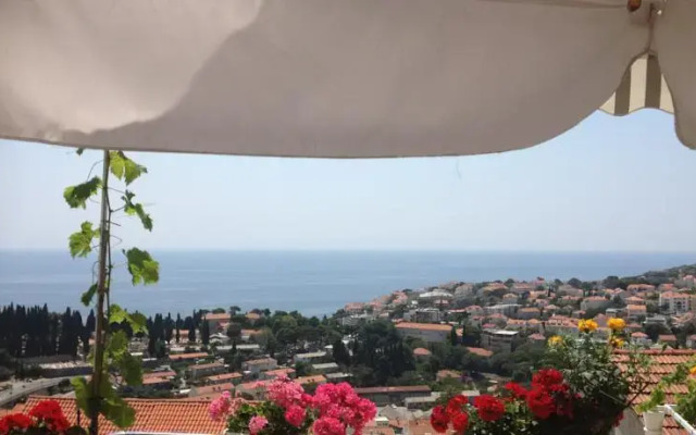 Guesthouse Martin