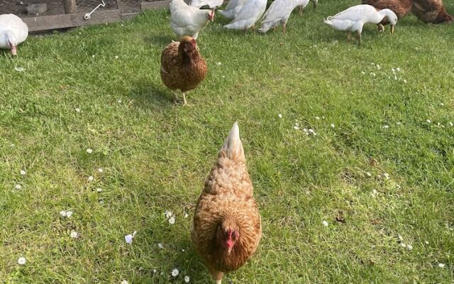 The Penruddocke Arms