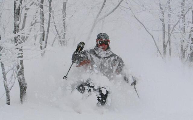 Hakuba Resort Hotel La Neige Higashikan