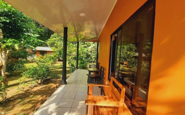 corcovado green parrot