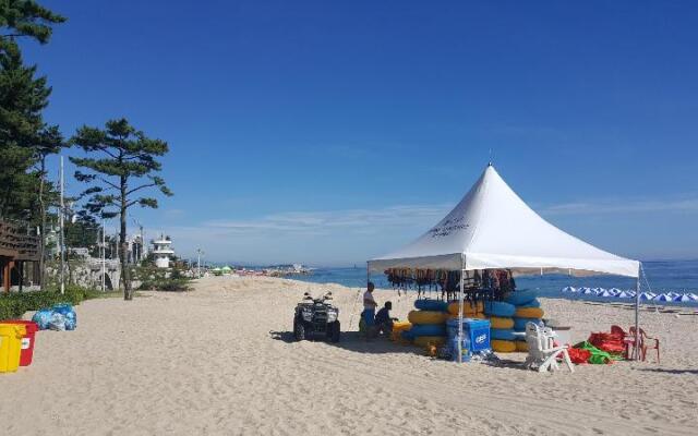 The Hotel Business Gangneung