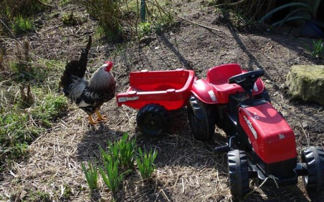 Hvidpilen Apartments