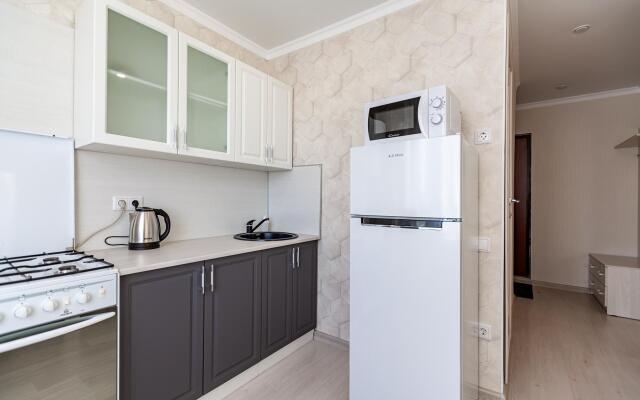 Apartment on Chistopolskaya
