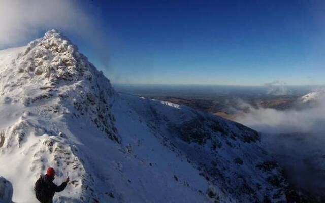 The Vagabond Bunkhouse & Pizzaria - Hostel