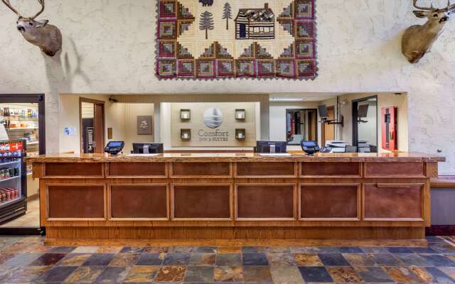Comfort Inn & Suites Branson Meadows