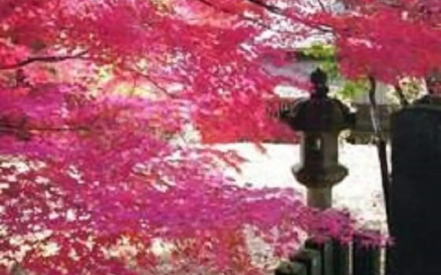 Smile Hotel Shirakawa