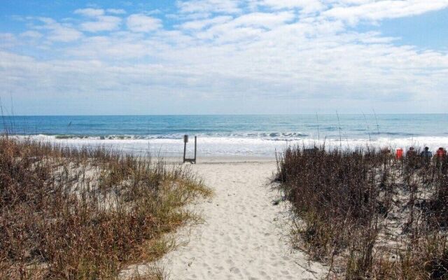 Ocean Forest 2004 by RedAwning