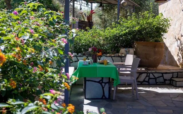 The Olive House