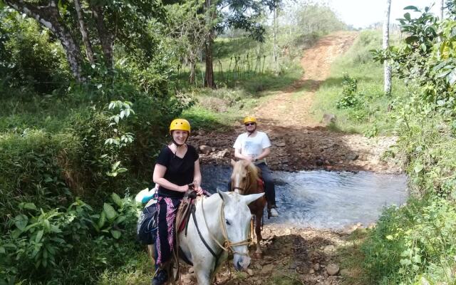 Wonderful View Cabins