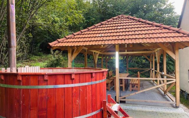 Casa de Vacanta Diana Moneasa