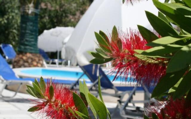 Spiros & Hiroko Hotel - Adults Only