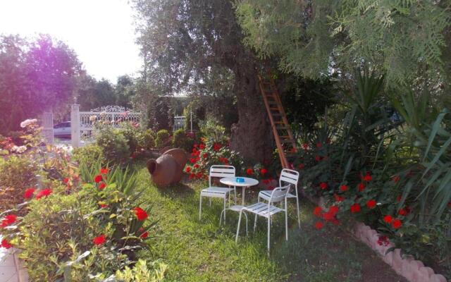 Ioli Apartments