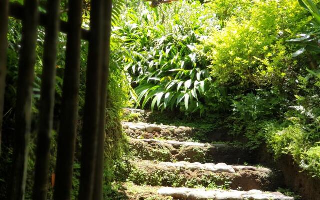 Maka-Kalinaw 5 Wabi sabi Room, Forest Deck View