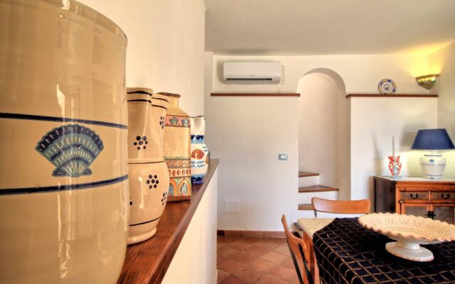 Foresta Forte - Ciolo