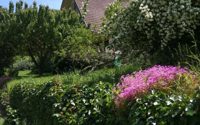Puente Canto de Gredos