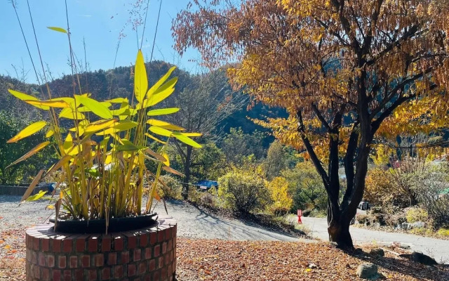 Gapyeong Hutan Pension