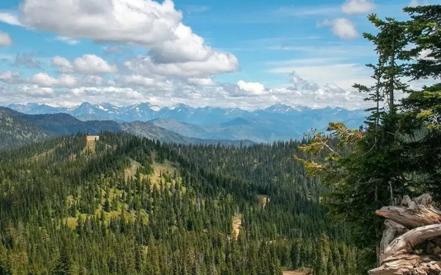 Stillwater Mountain Lodge