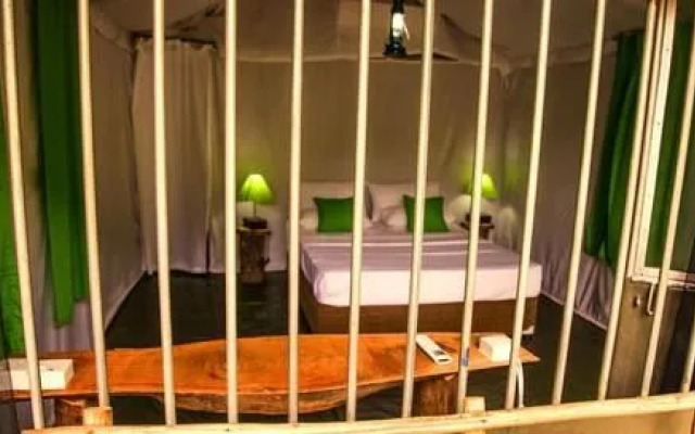 Forest Glen Bungalow