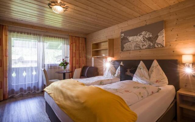 Pension Apartment Steiner