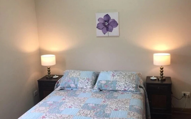 Cozy apt in the heart of Mendoza