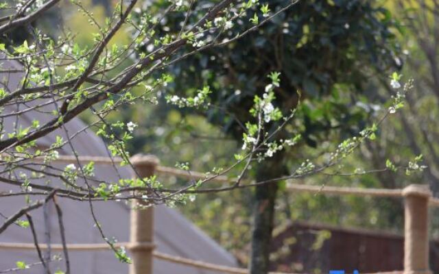 Yunfuli Yunsu·Yidao Qingcheng·camping Mountain Private Hot Spring B&B