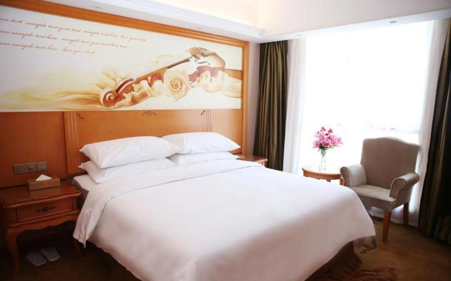Vienna Hotel (Wuhan Wujiashan Economic Development Zone)