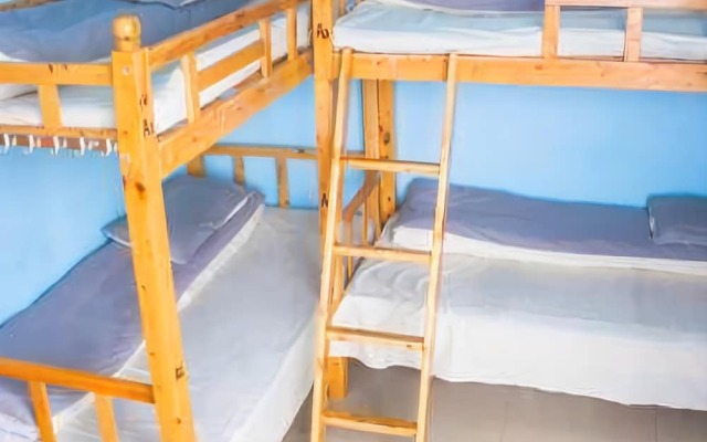 Time Flies Hostel
