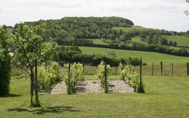 1 Bedroom House 20min Walk To Centre in Tournus (Adults Only)