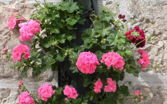 Villa By The Sea Near Dubrovnik