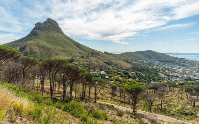 City Oasis Apartment with Rooftop Pool!