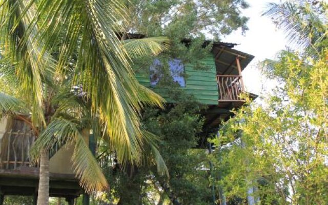 Yala Eco Tree House