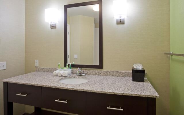 Holiday Inn Express Hotel & Suites Rogers by IHG