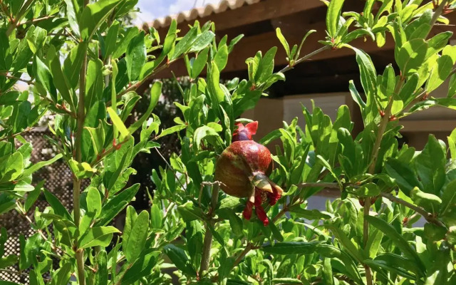 Villa Panorama - Stunning views in villa with hot tub, pool, garden